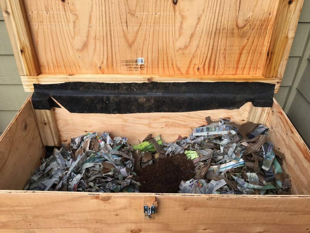 Newspaper strip bedding and pile of new worms added to bin. https://trimazing.com/ 
