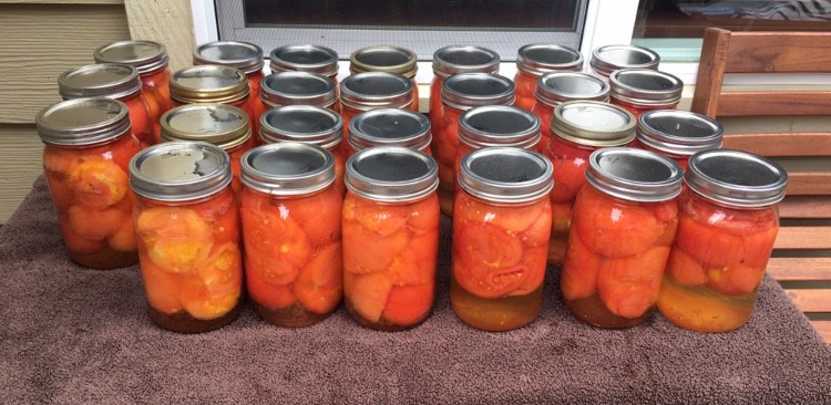 Home canned whole tomatoes. https://trimazing.com