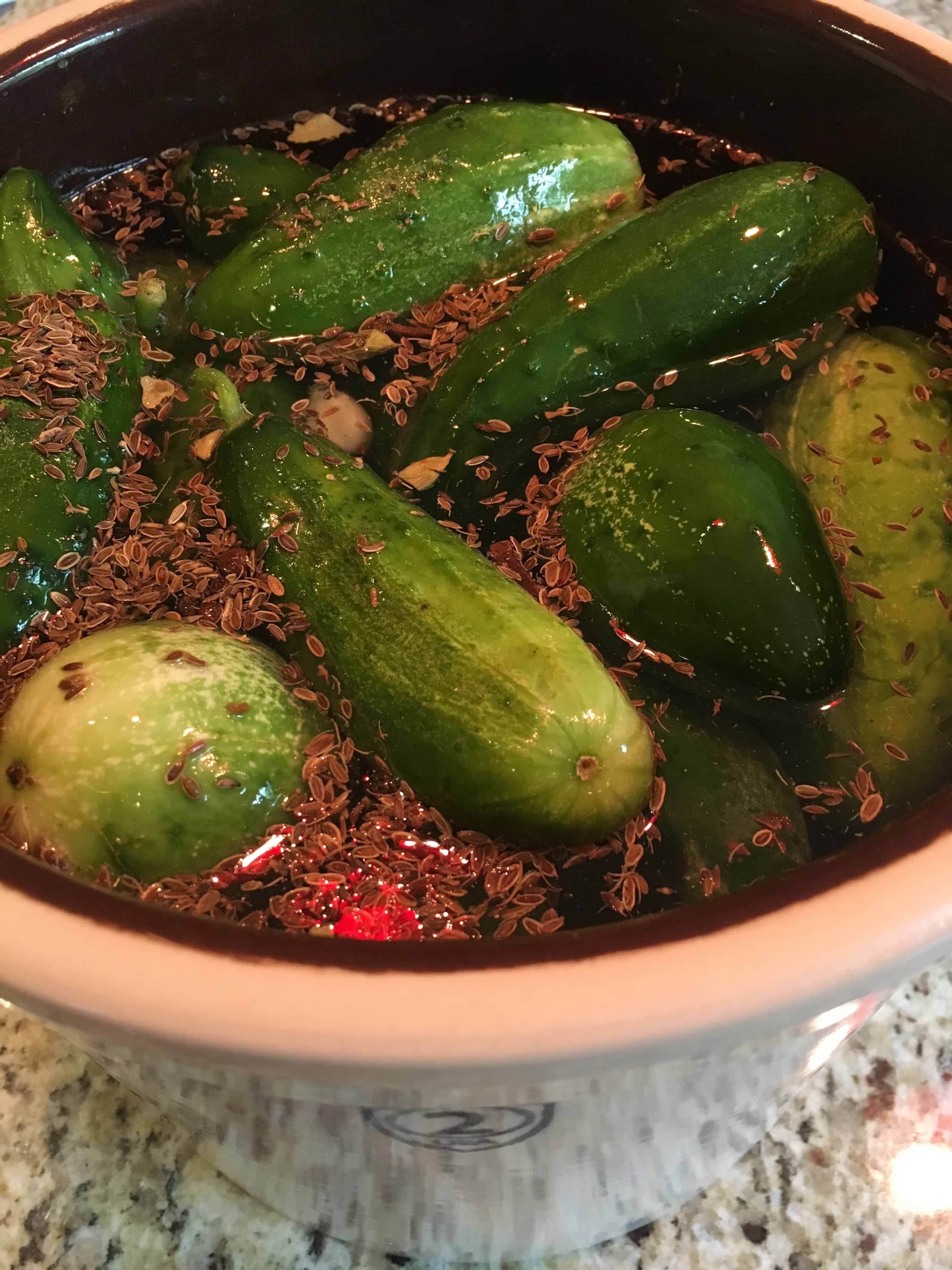Pickling cukes in crock full of brine and spices. https://trimazing.com