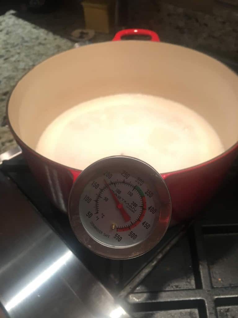 Using a thermometer to measure heat of soy milk. https://trimazing.com/ 