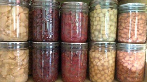 Salt substitutes in home canning - Healthy Canning in Partnership with  Canning for beginners, safely by the book