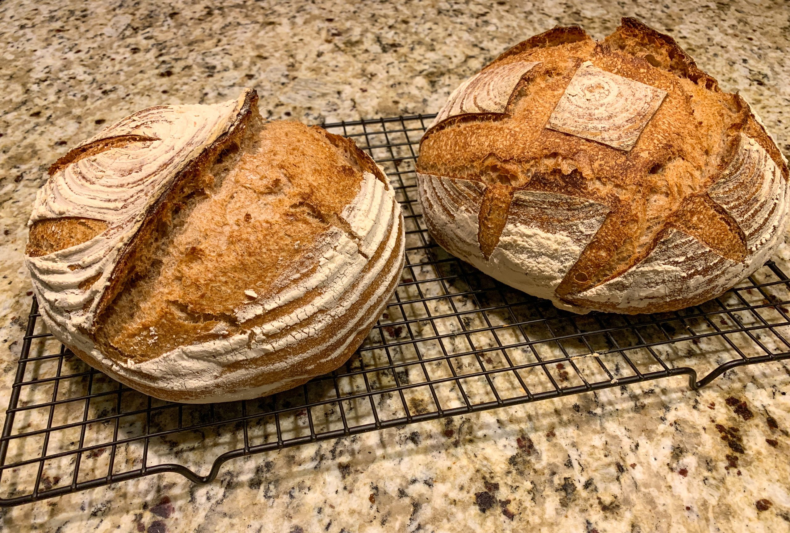 Baking Bread In An Electric Oven VS Gas Oven - The Pantry Mama