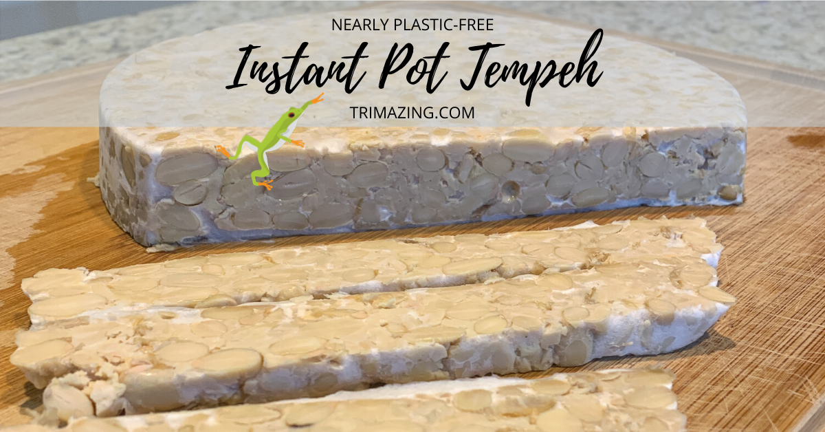 Tempeh recipes instant discount pot