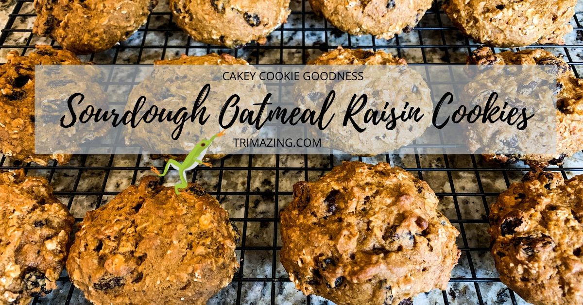 subways oatmeal raisin cookie recipe