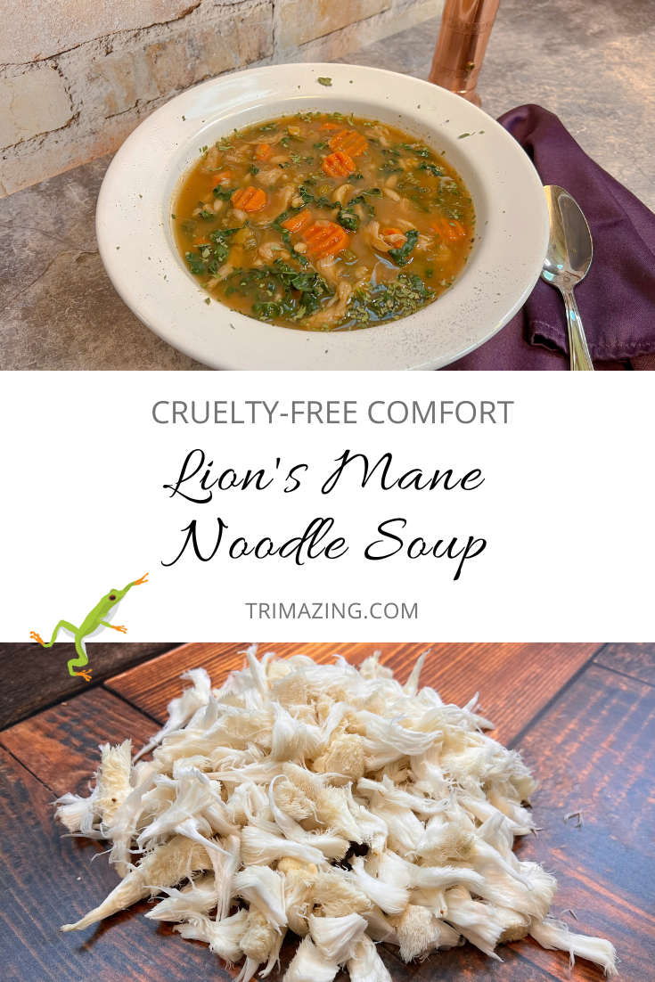 Lion's Mane Noodle Soup Pin